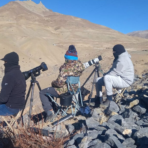 Snow Leopard Expedition