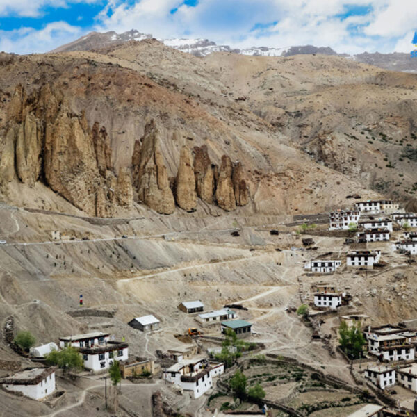spiti-yak-blog-3