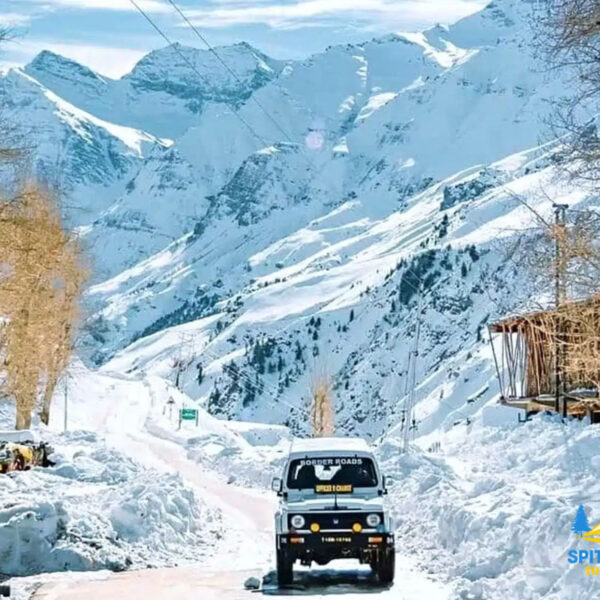 spiti-yak-blog-4